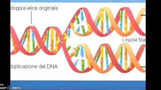 DNA trascrizione e traduzione [upl. by Imogen429]