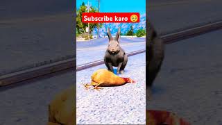 Murgi or kharghas ki video 😍 l Subscribe Karo dosto 🥰❤️ shortvideos trending [upl. by Eimerej]