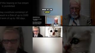 Lawyer Gets Stuck With Cat Filter During Virtual Hearingshorts [upl. by Terrie]