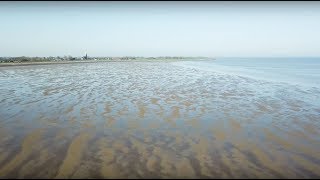 De toekomst van de Waddenzee zeespiegelstijging bodemdaling en sedimentatie in de Waddenzee [upl. by Rees13]