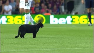 Gato negro en el Camp Nou [upl. by Won]