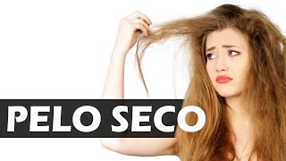 Tratamiento natural y casero para el pelo seco  Remedios caseros y naturales para el pelo seco [upl. by Ahsakat]