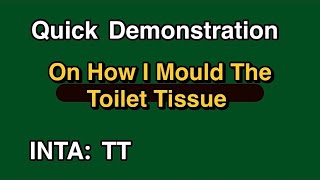 Moulding Toilet Tissue For Scenery [upl. by Fiske861]