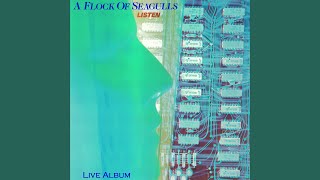 A Flock of Seagulls  Listen Live Album [upl. by Agrippina]