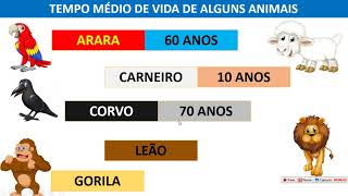 TRATAMENTO DA INFORMAÇÃO  TABELAS E GRÁFICOS [upl. by Haven207]