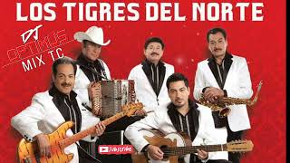 LOS TIGRES DEL NORTE MIX🎷🪗 RANCHERAS MIX 🔥 BY djoptimuseloriginal [upl. by Bryanty499]