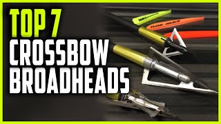 Best Crossbow Broadheads 2023  Top 7 Broadheads for Crossbow [upl. by Lanni]