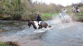 Tipperary Foxhounds Meet in Fethard Jan 2019 [upl. by Esteban]