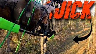 MINUTES into My Hunt THIS Happens Caught on 3 cameras Deer Hunting 2024 EP4 [upl. by Edak132]