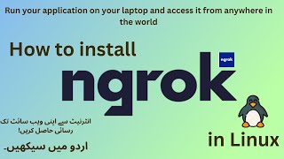 How to Install Ngrok on Linux and Windows amp Access Your Application via the Internet  urdu ma [upl. by O'Reilly]