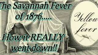 Yellow Fever in Savannah How it REALLY was [upl. by Nnayelhsa]