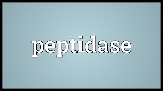 Peptidase Meaning [upl. by Adnilra990]