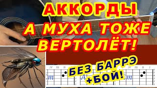 А МУХА ТОЖЕ ВЕРТОЛЕТ Аккорды 🎸 БЕЗ БАРРЭ ♪ Разбор песни на гитаре ♫ Гитарный бой для начинающих [upl. by Inajna546]