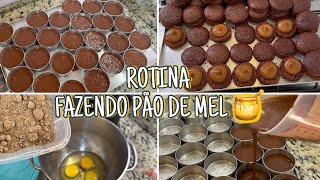 VLOGÃO 💖  FAZENDO PÃO DE MEL 🍯 COM RECEITA  UM DIA COMIGO NA ROTINA 🥰  Letícia Borgheti [upl. by Mcclelland]