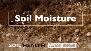 Soil Basics Soil Moisture [upl. by Airbas]