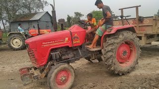 Amazing Giant Red Goat Small Black Goat Farming Video [upl. by Ffoeg]