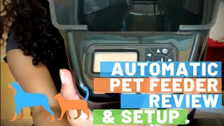 PetSafe Automatic Dog Feeder Review amp Setup for Travelers [upl. by Watkin]