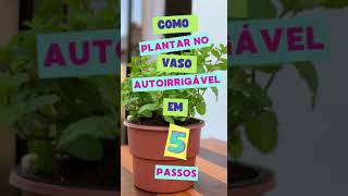 Como plantar no vaso autoirrigável Armazém do Verde [upl. by Arley]