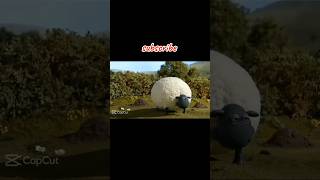 meme Shaun the sheep 🗿 subscribe capcutedit shaunthesheep memes funny subscribe lucu [upl. by Lauder]