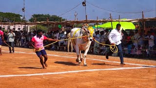 MALDAKAL TELENGANA STATE 2021 6 PALLU VIBAGHAM 1ST PLACE WINNER RK BULLS VETAPALEM [upl. by Sirmons680]