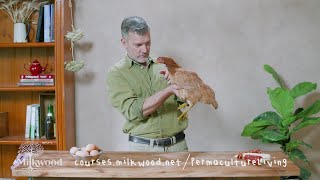 Keeping Healthy and Happy Chickens a Beginners Guide  Permaculture Living [upl. by Richardson]