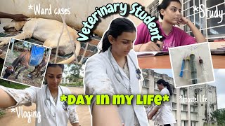 Day in life of a Veterinary Student🩺 Veterinary College✨  Vlog vet veterinary dayinmylife vlog [upl. by Aerdnna66]