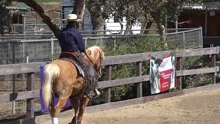 El Campeons Cochise amp Abigail Followwill  EOH Course Novice A  PGF Working Equitation Show [upl. by Airalav]