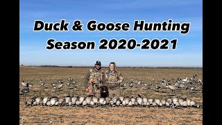 TOMAHAWK KENNELS Boykin Spaniel Duck and Goose Hunting Season 20202021 [upl. by Alvinia]