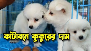 Dog price in Bangladesh । বিদেশী কুকুর কিনুন । Katabon Pet Market Dhaka । Puppy Dog । Dog market [upl. by Mauri]