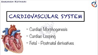 Heart Morphogenesis Cardiac Looping Fetal  Postnatal Derivatives  Cardiovascular Embryology [upl. by Adlesirc]