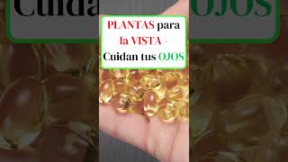 PLANTAS para Mejorar tu Vista Naturalmente shortsvideo [upl. by Daisy348]