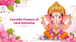 Favorite Flowers of Lord Ganesha [upl. by Eiramlatsyrc468]