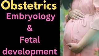 Embryology and fetal developmentobstetrics medical nursing [upl. by Leveridge]