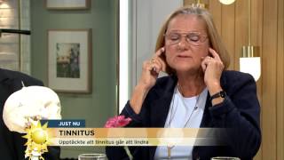 Så kan du lindra din tinnitus  Nyhetsmorgon TV4 [upl. by Nosniv]