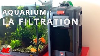 Aquarium  La filtration [upl. by Llenrac356]