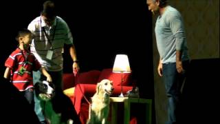 Isaac Wong 6 years old boy in Cesar Millan dog whisperer show in dog training video Singapore [upl. by Monk]