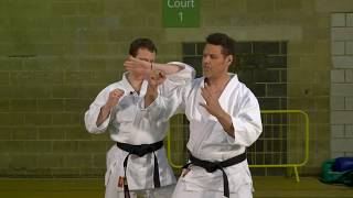 How to use Elbows In Aikido [upl. by Treb]