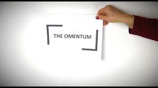 What Is The Omentum [upl. by Lajet]