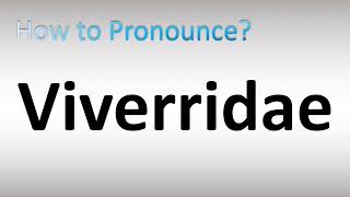 How to Pronounce Viverridae [upl. by Aihsenad659]