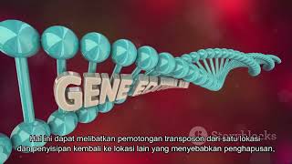 Mutagenesis Transposon [upl. by Fuhrman470]