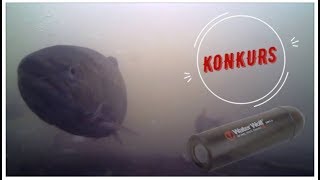 Kamera podwodna Water Wolf  przepławka rzeka Reda 2018 [upl. by Bolitho48]