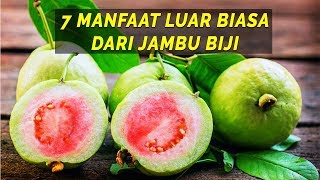 Inilah 7 Manfaat Jambu Biji Merah bagi kesehatan [upl. by Harberd]