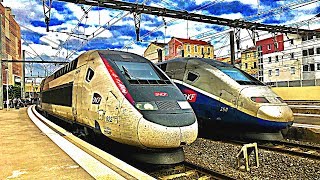 GARE de MONTPELLIER  SAINTROCH  COMPILATION de TRAINS TGV OUIGO TER FRET [upl. by Petta]