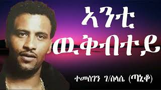 Eritrean music Temesgen G slasie Taniko Best Songs Official Music Video 2023 [upl. by Nodla107]