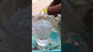 crazy experiment with hot water and fevikwik shortvideo experiment nature shorts [upl. by Amikehs]