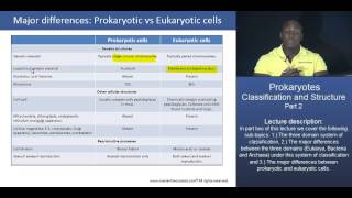 MCAT® Prokaryotes Classification and Structure  Part 1 – Prokaryotic vs Eukaryotic cells [upl. by Odetta]