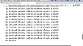 Finding orthologs of a gene using BLAST searches [upl. by Farant]