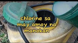 Paggamit ng Chlorine sa ating Manokan [upl. by Amand]