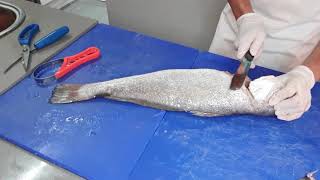 How to fillet a fresh Kabeljou Stilbaai vismark  How to fillet a fish [upl. by Mackenie]