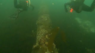 Diving The Pipe At Breakwater Part 3 Now With Metridium [upl. by Elia526]